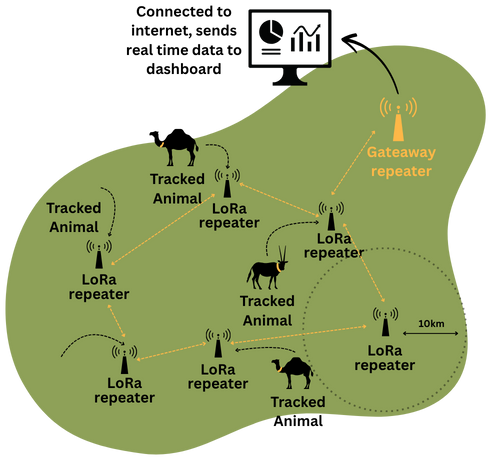 LoRa + Mesh of Repeaters