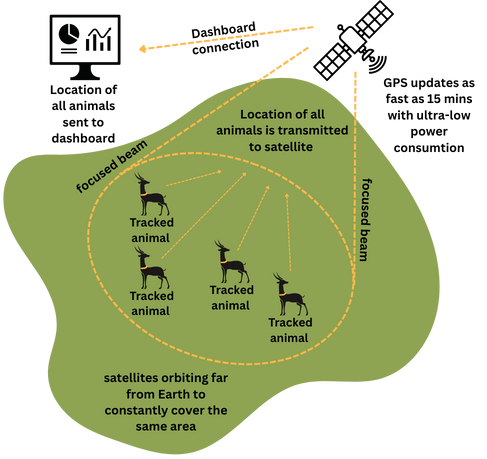 Myriota HyperPulse Model