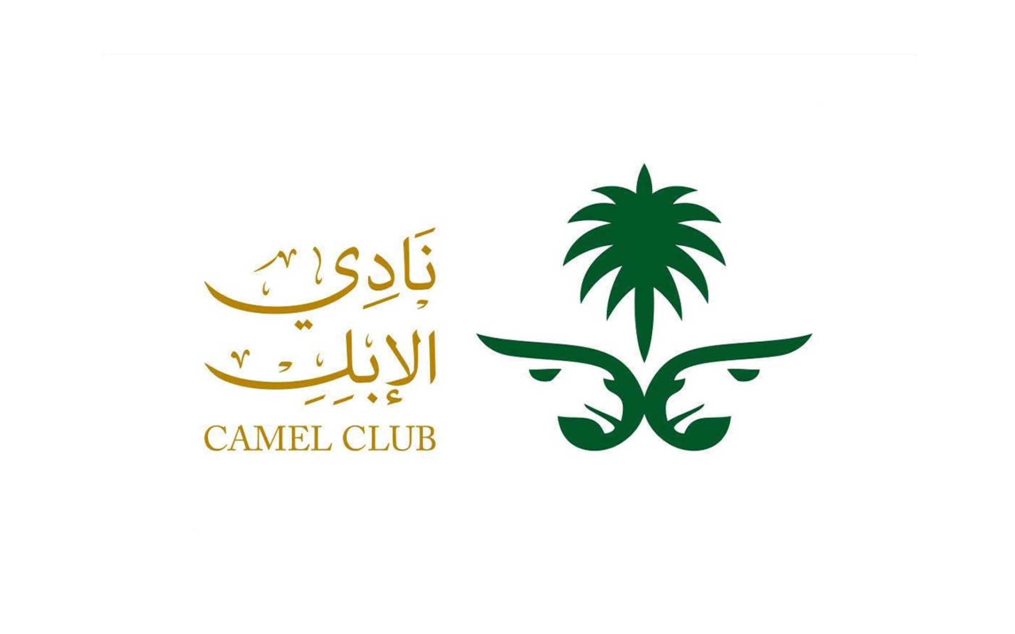 Camel Club Partner