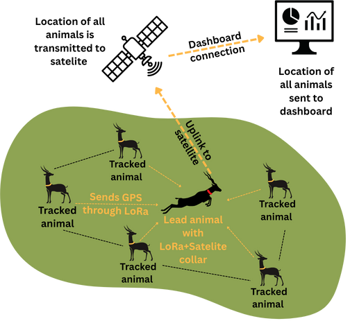 LoRa + Satellite Model